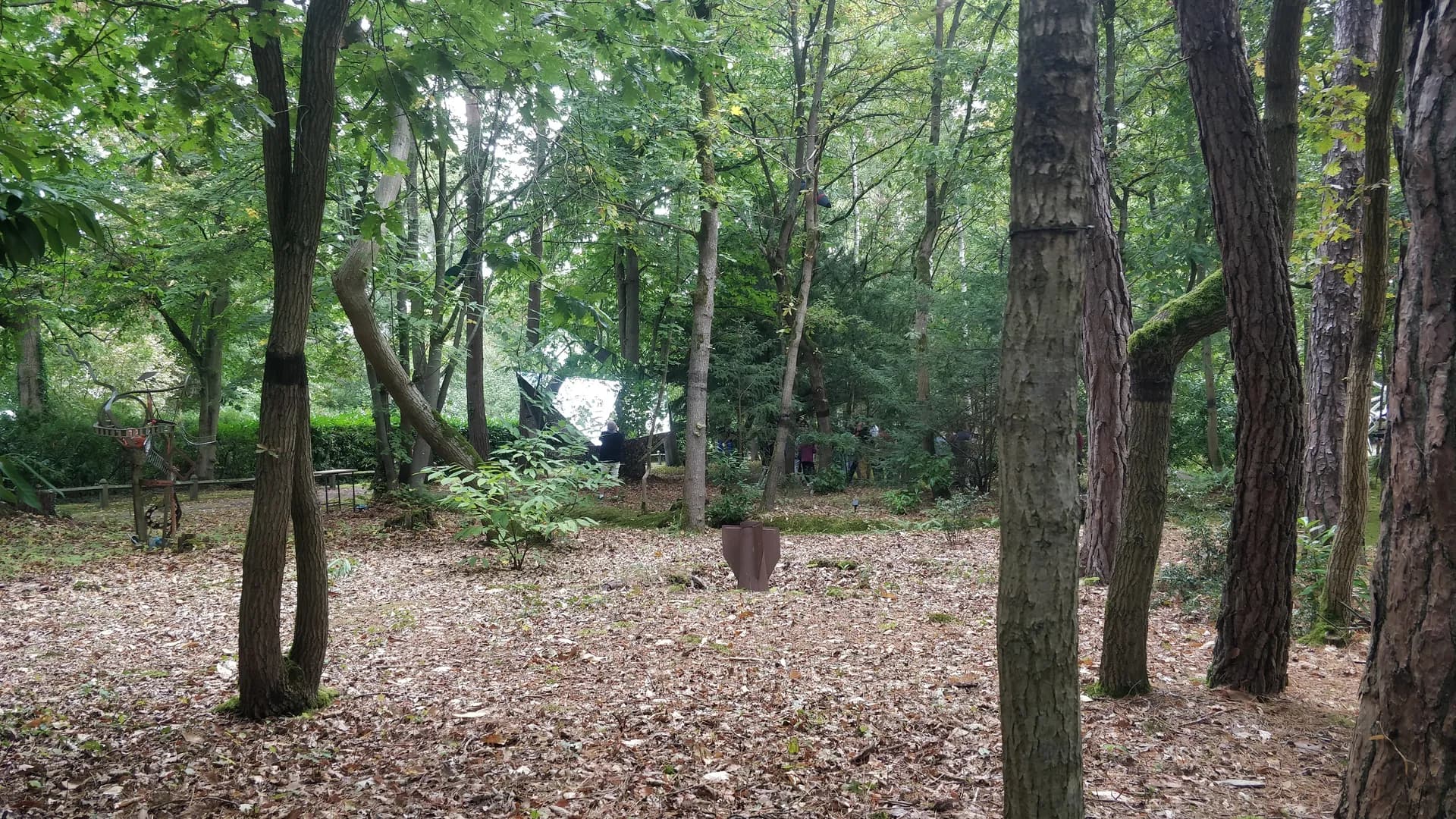 aLuminae vue du parc — installation parmi les arbres