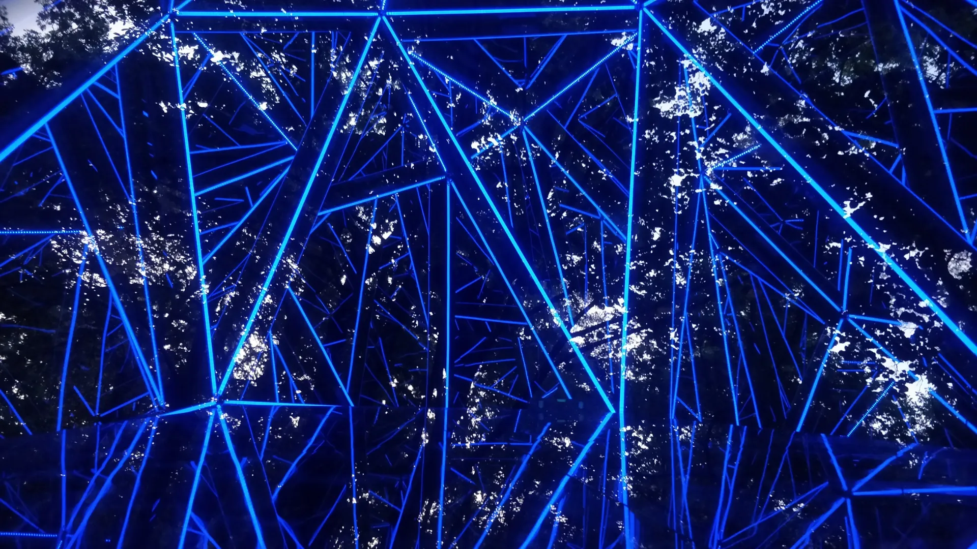 Vue intérieure au crépuscule — reflets infinis et canopée